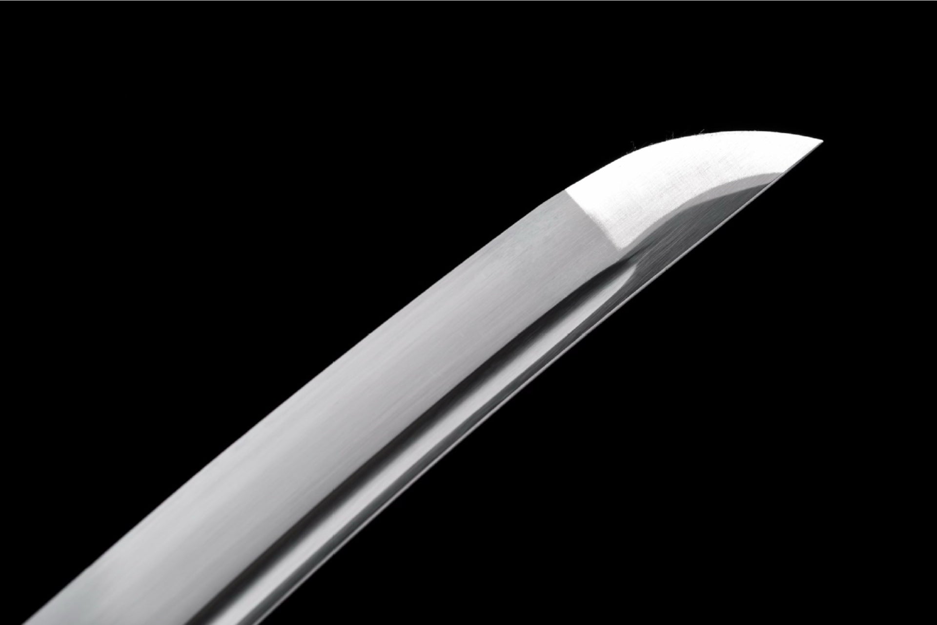 Sekiryu Wakizashi