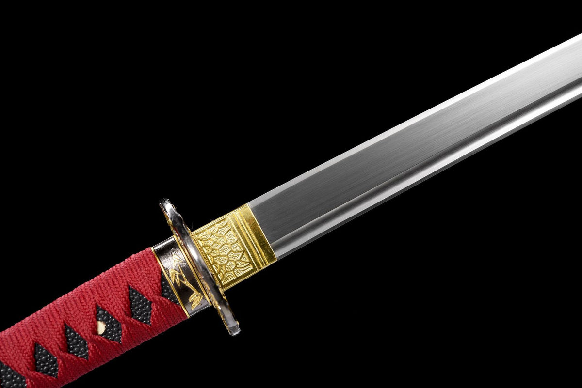 Takeshin Katana